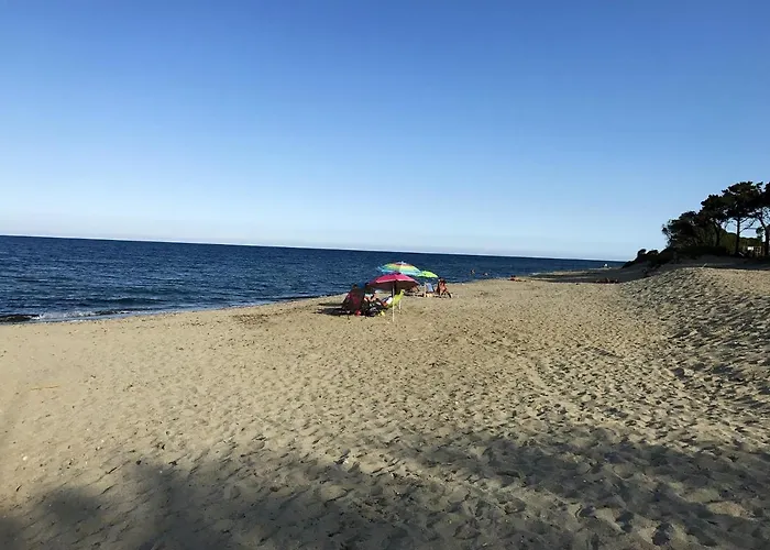 Convivial A Cervione, 35 M², Piscine Partagee Cervione